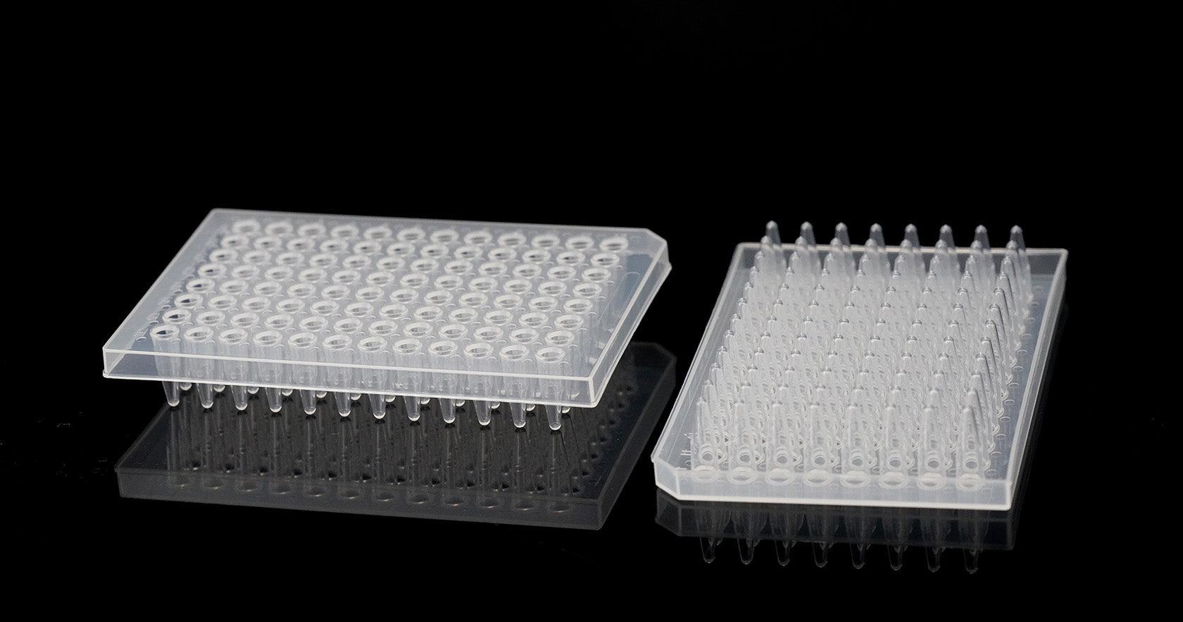 PCR 96-Well Plate, style 1