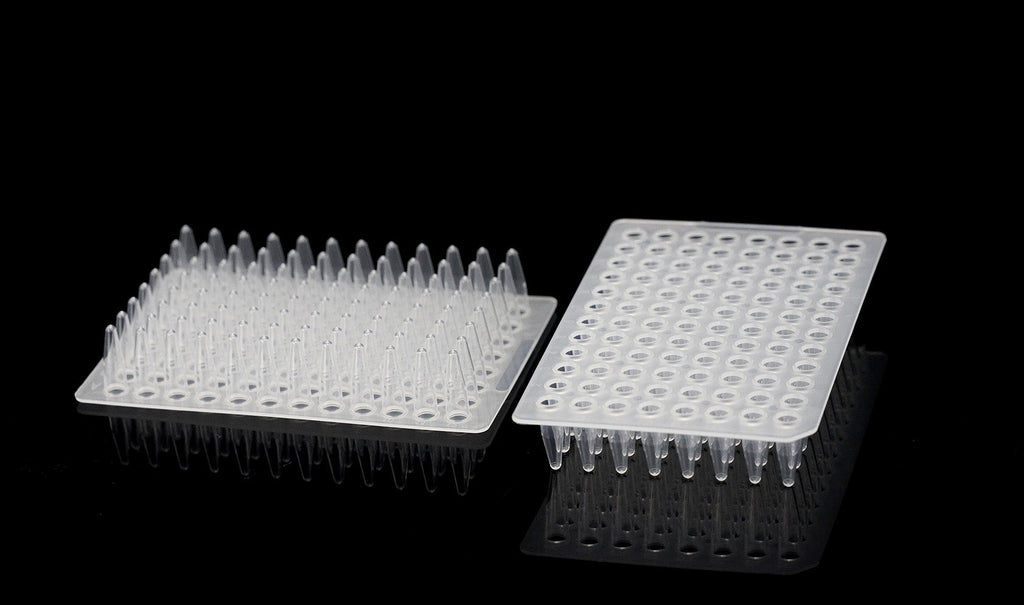 PCR 96-Well Plate, style 2