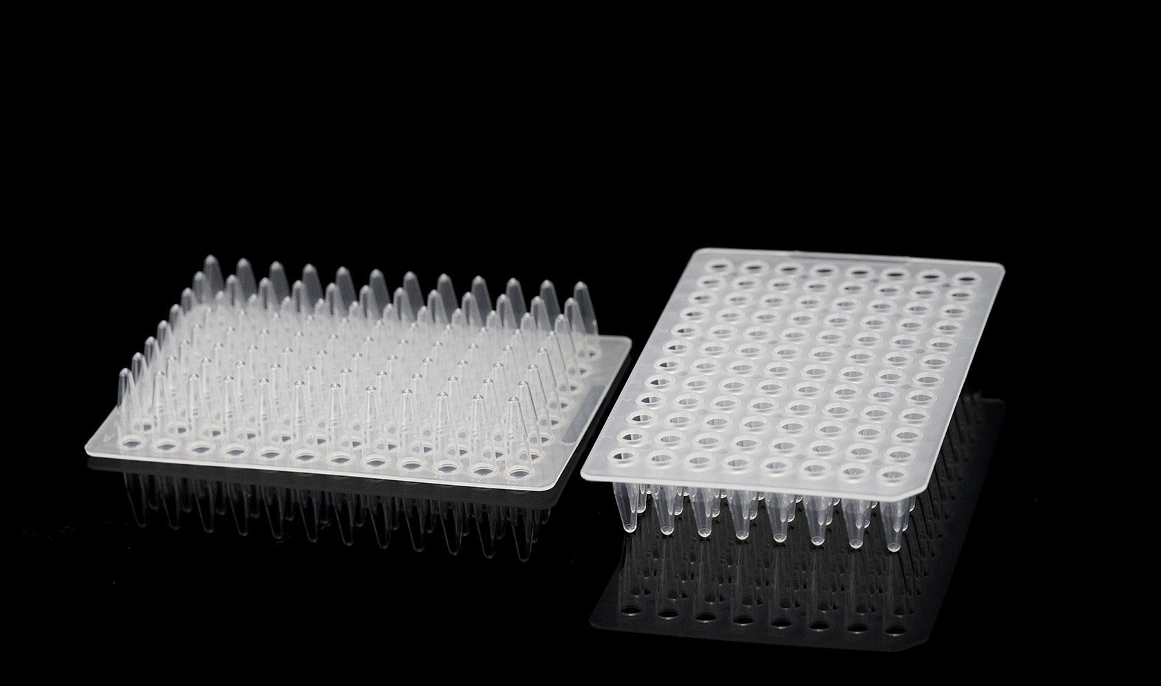PCR 96-Well Plate, style 2