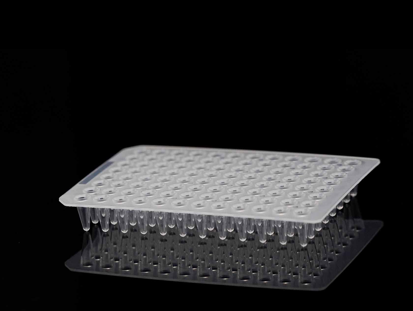 PCR 96-Well Plate, style 4