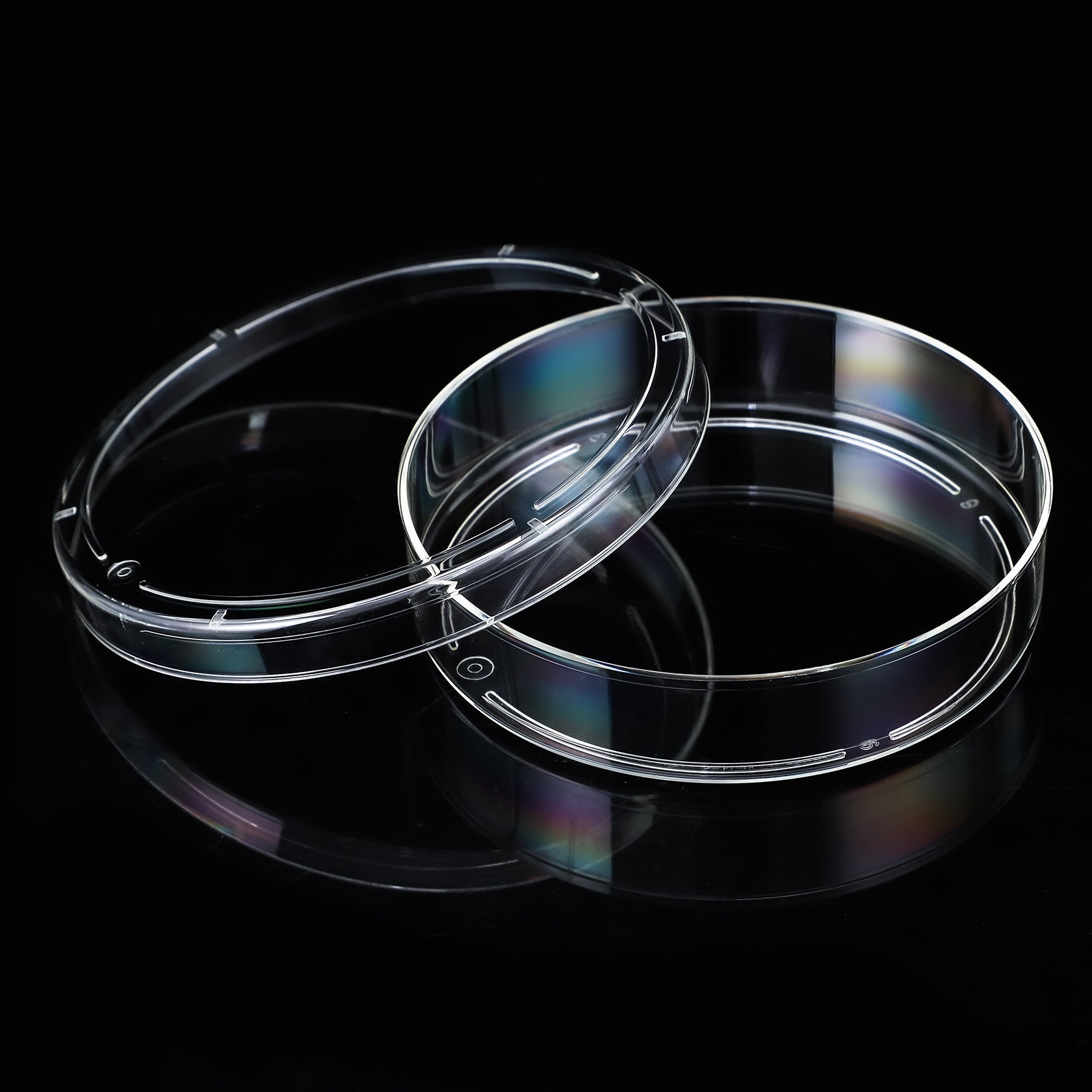 Petri Dish, 100mm x 10mm