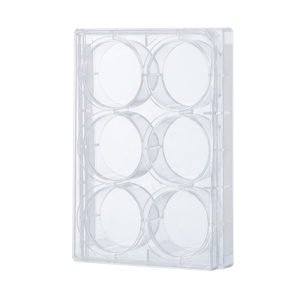 Cell Culture Plate, 6 Wells