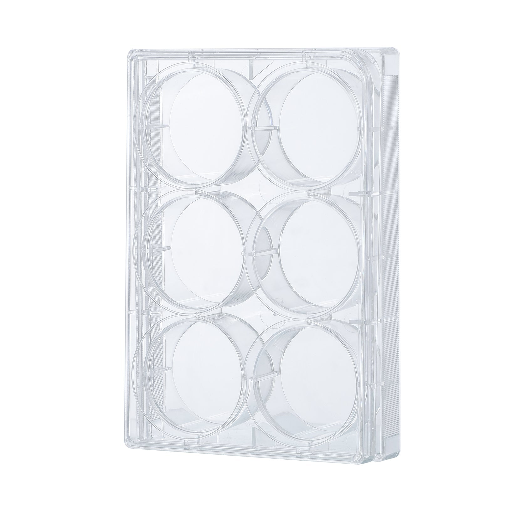 Cell Culture Plate, 6 Wells