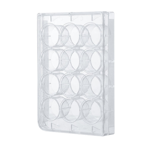 Cell Culture Plate, 12 Wells