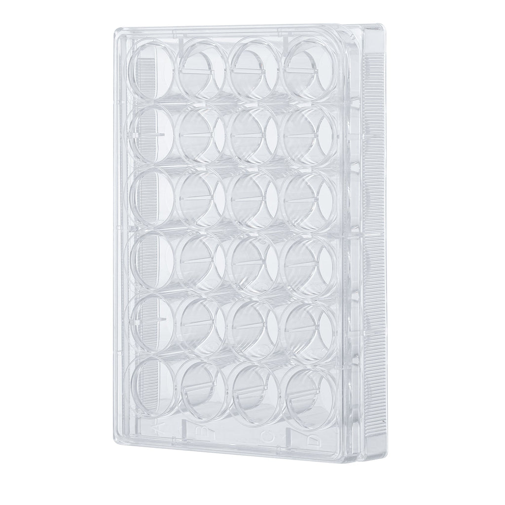 Cell Culture Plate, 24 Wells