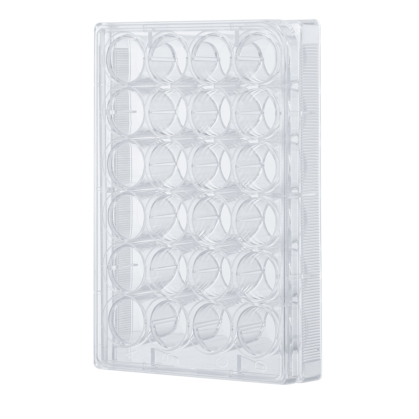 Cell Culture Plate, 24 Wells