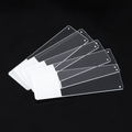 Color Frosted Microscope Slides
