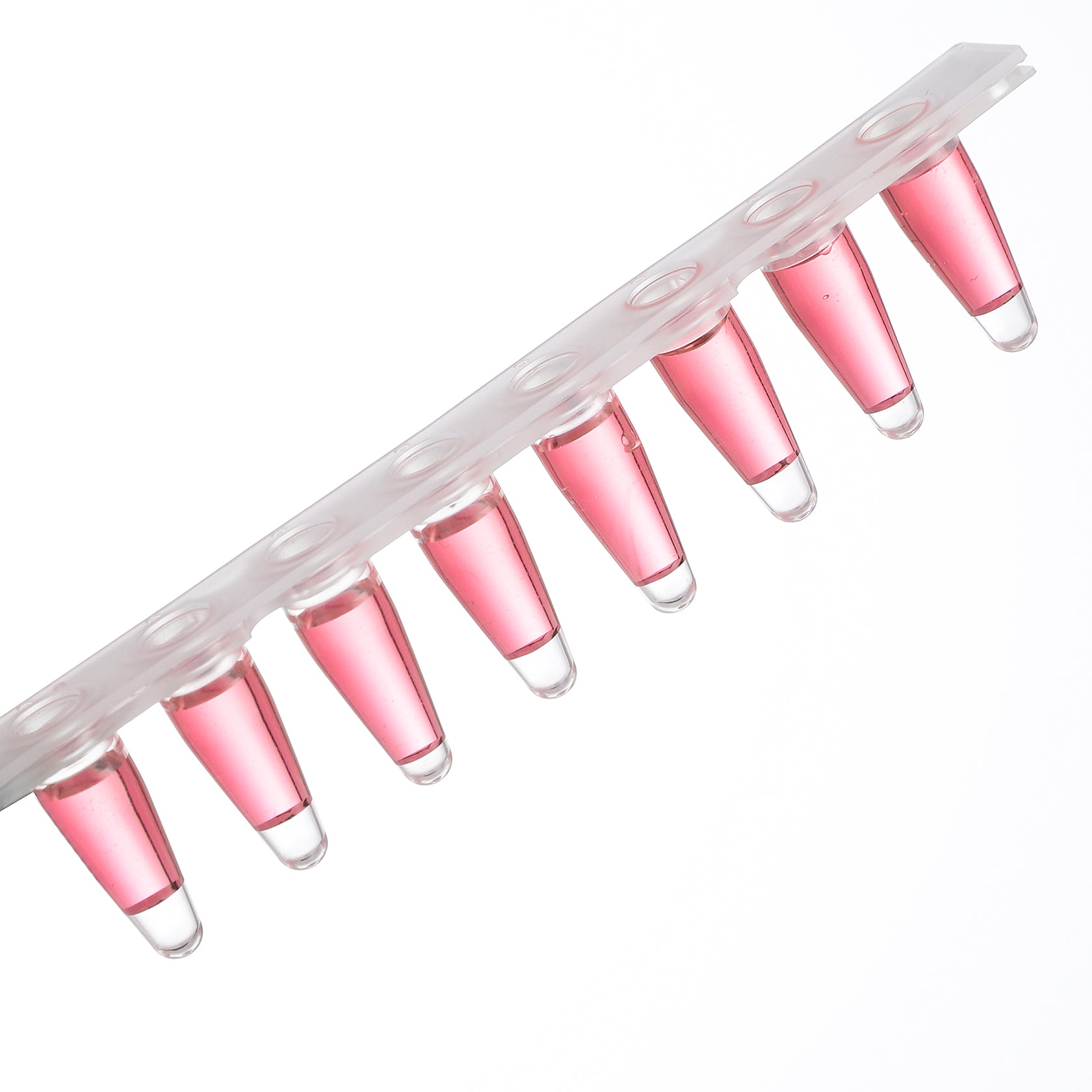 PCR 8-Strip, Type B, 0.1mL, Transparent