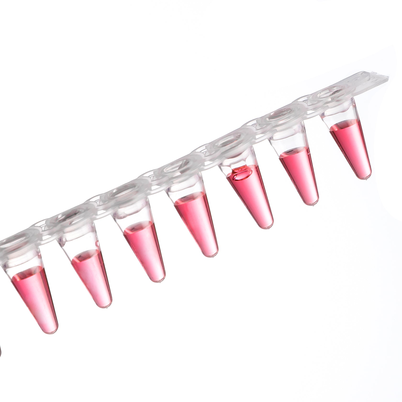 PCR 8-Strip, Type A, 0.1mL, Transparent