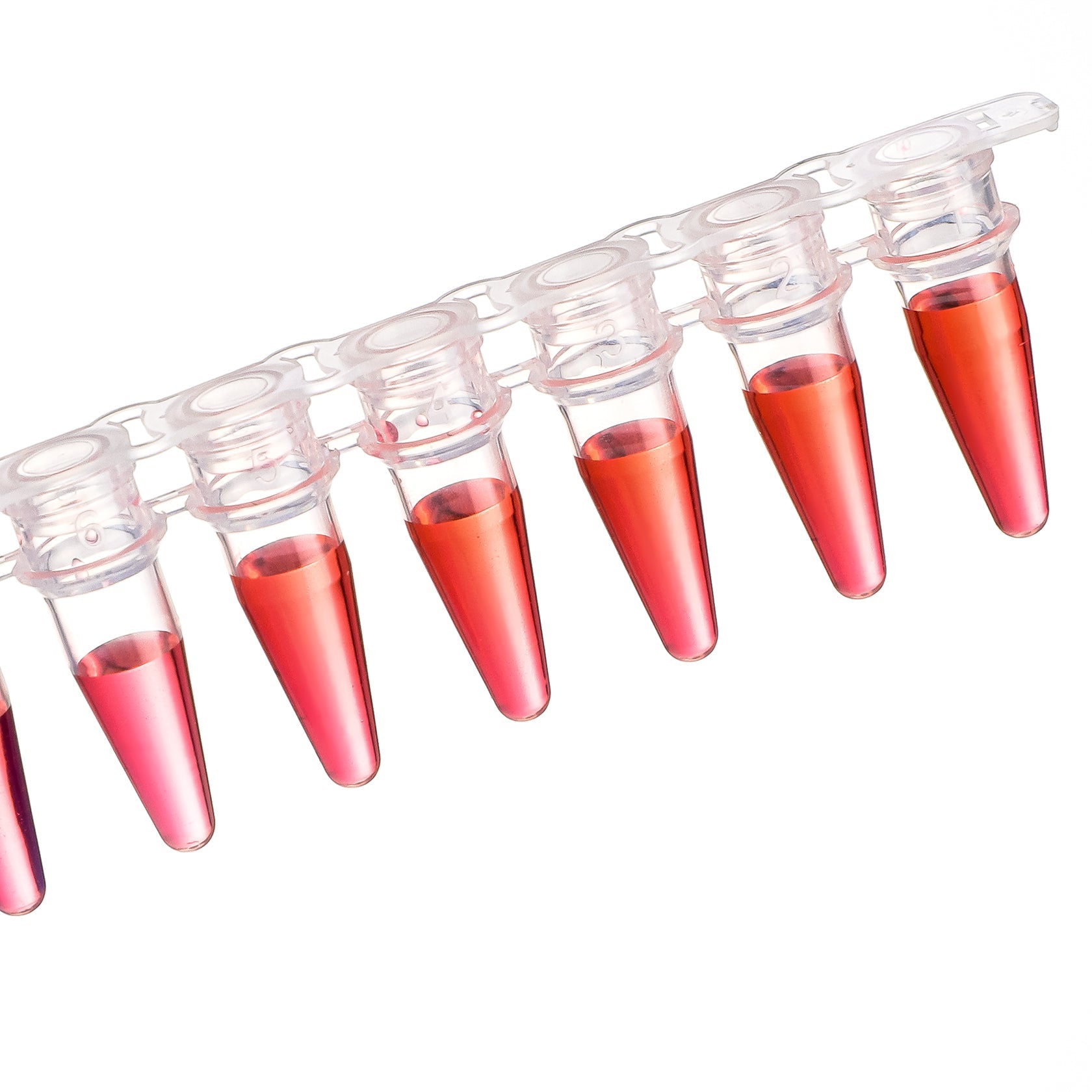 PCR 8-Strip, Type A, 0.2mL, Transparent