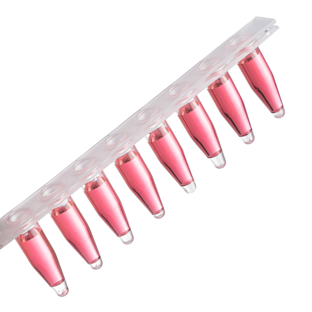 PCR 8-Strip, Type B, 0.2mL, Transparent