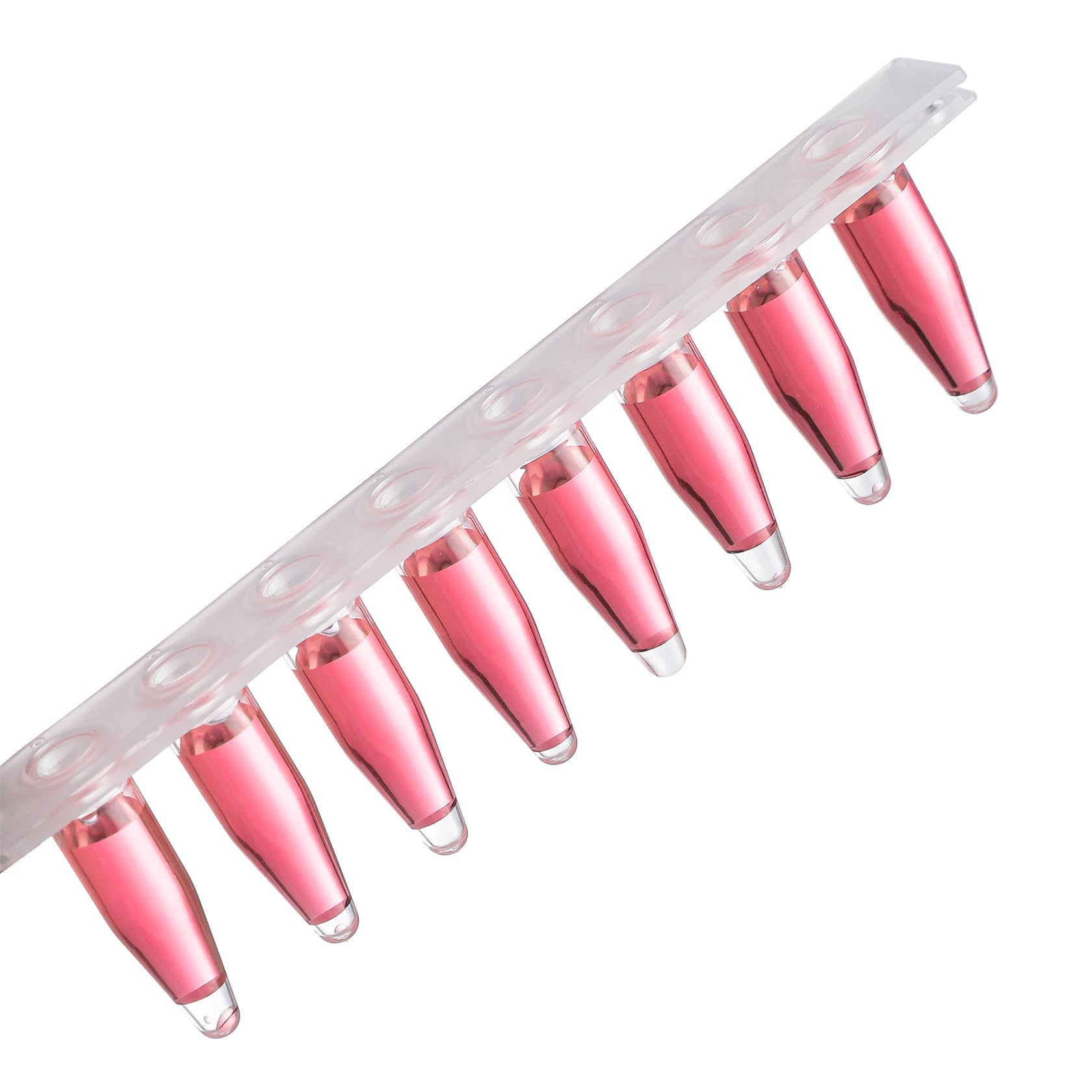 PCR 8-Strip, Type B, 0.2mL, Transparent