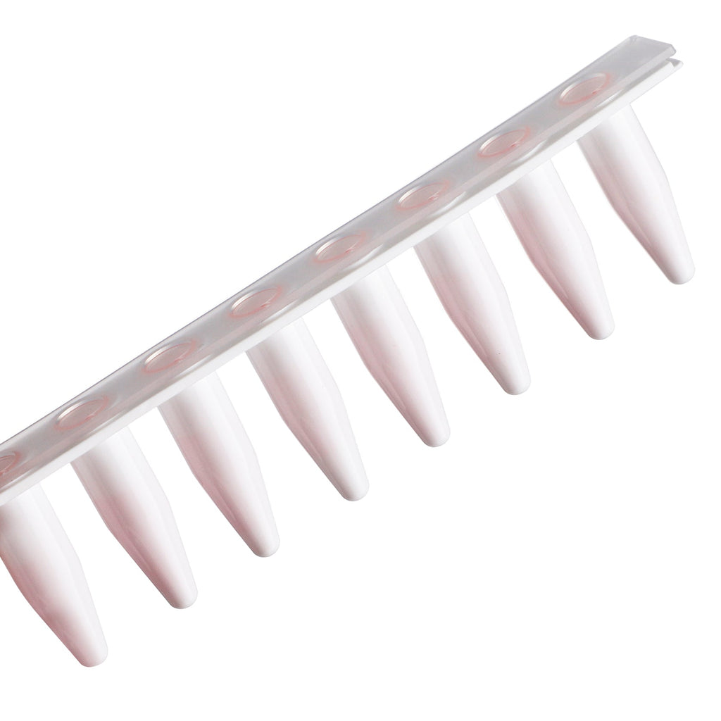 PCR 8-Strip, Type B, 0.2mL, White