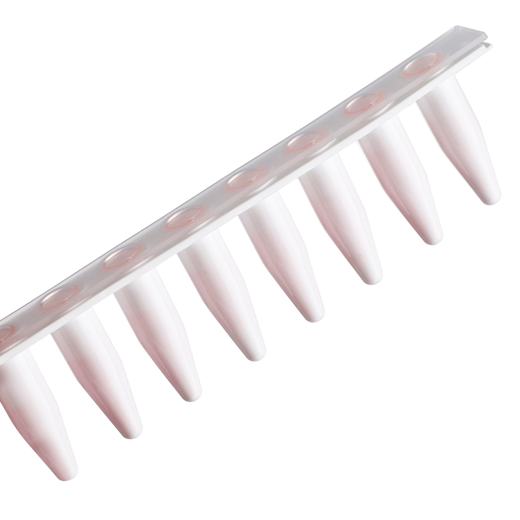 PCR 8-Strip, Type B, 0.2mL, White